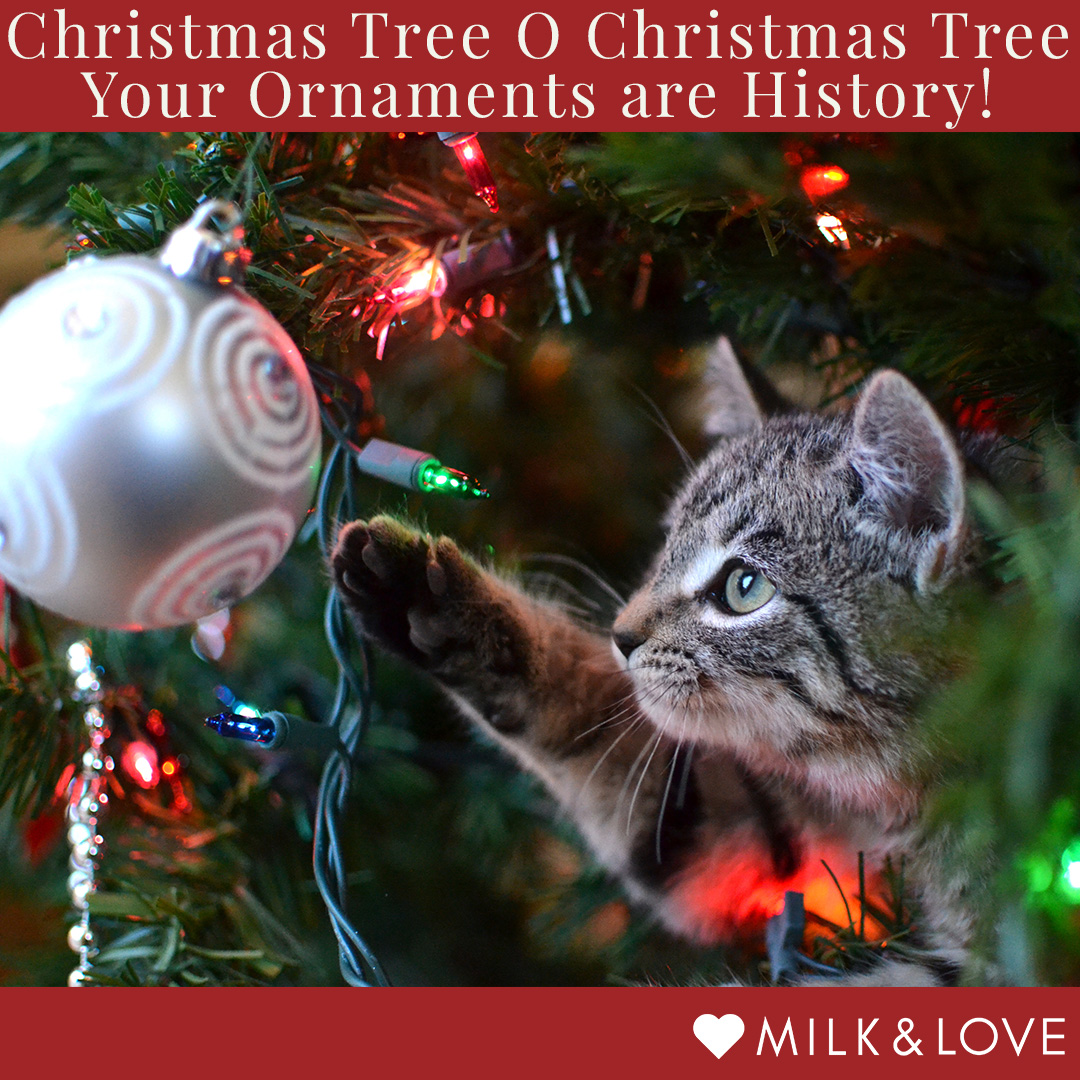 Christmas Meme - Animals and Ornaments