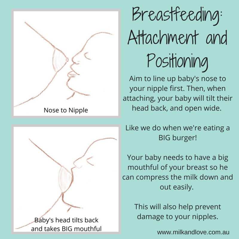 Breastfeeding Basics: Positioning and attachment - Milk and Love
