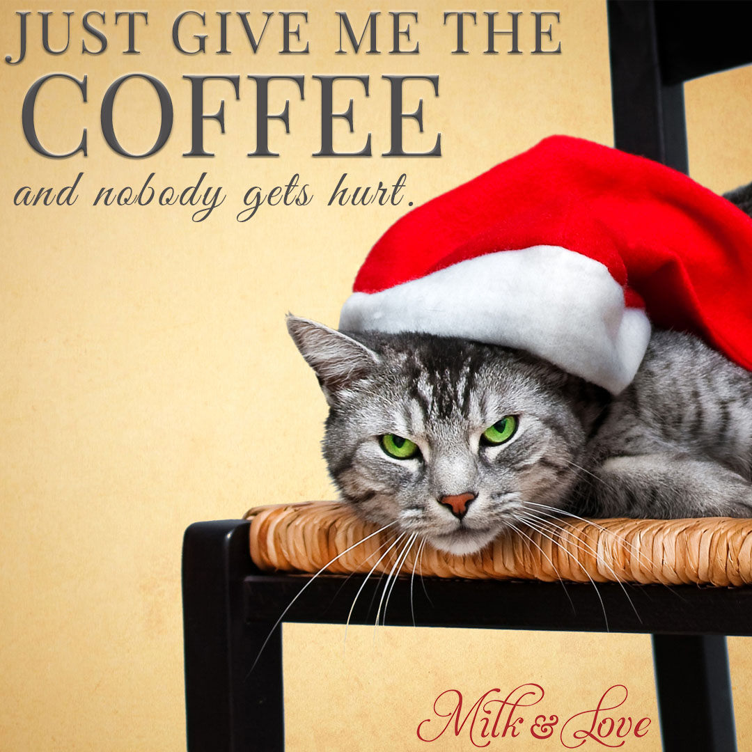 7 Funny Christmas Memes To Make You Laugh Milk And Love