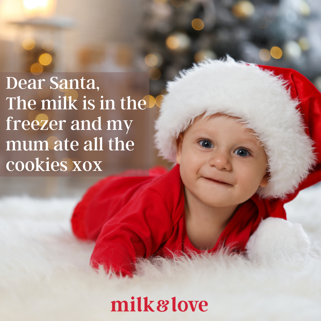 10 Funny Christmas Memes for Mums - Milk and Love